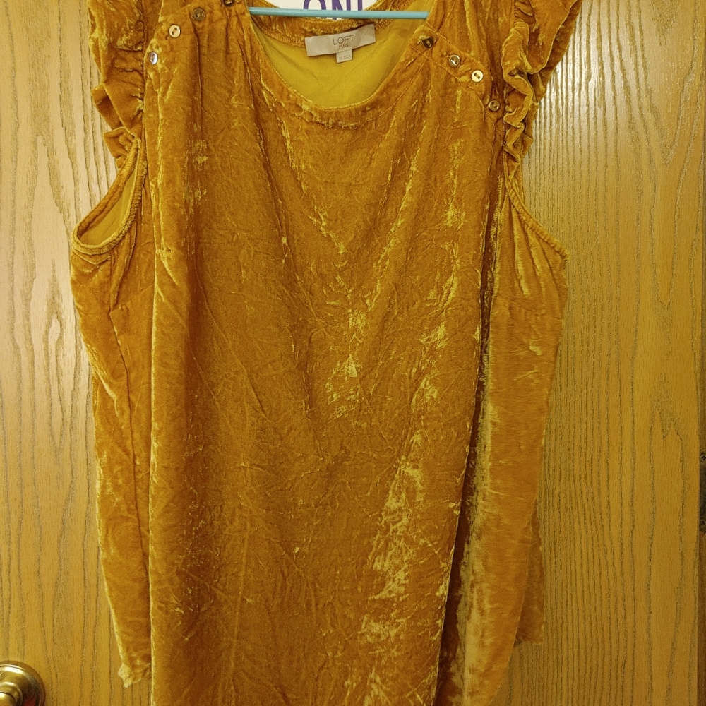 3/$8 Nwot loft plus velour blouse 20